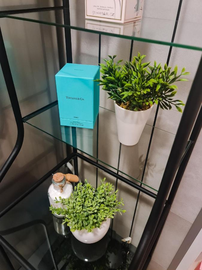 New - Apartment Finis سينج المظهر الخارجي الصورة